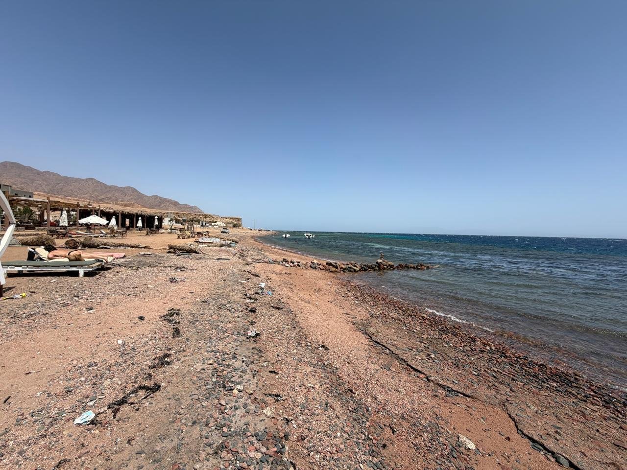 Lotus Sharm