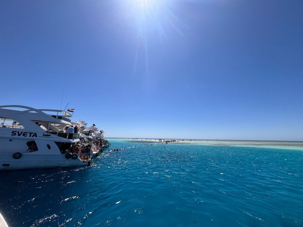 Lotus Sharm