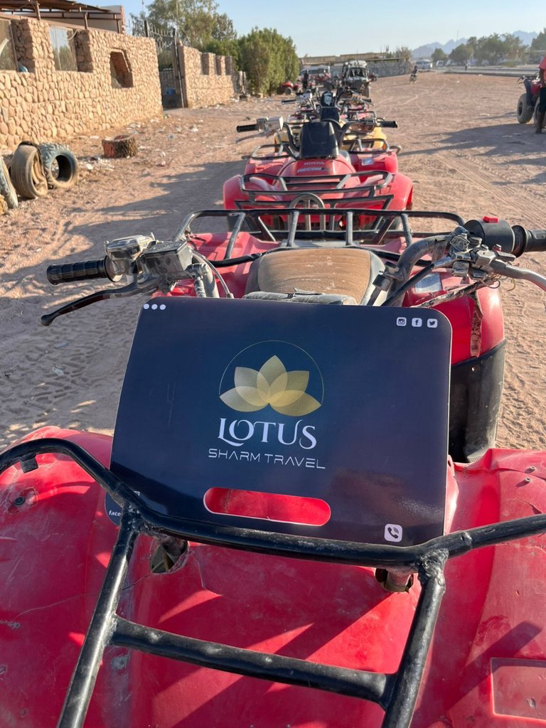سفاري البيتش باجي  Atv 