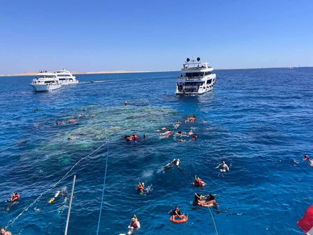 Lotus Sharm
