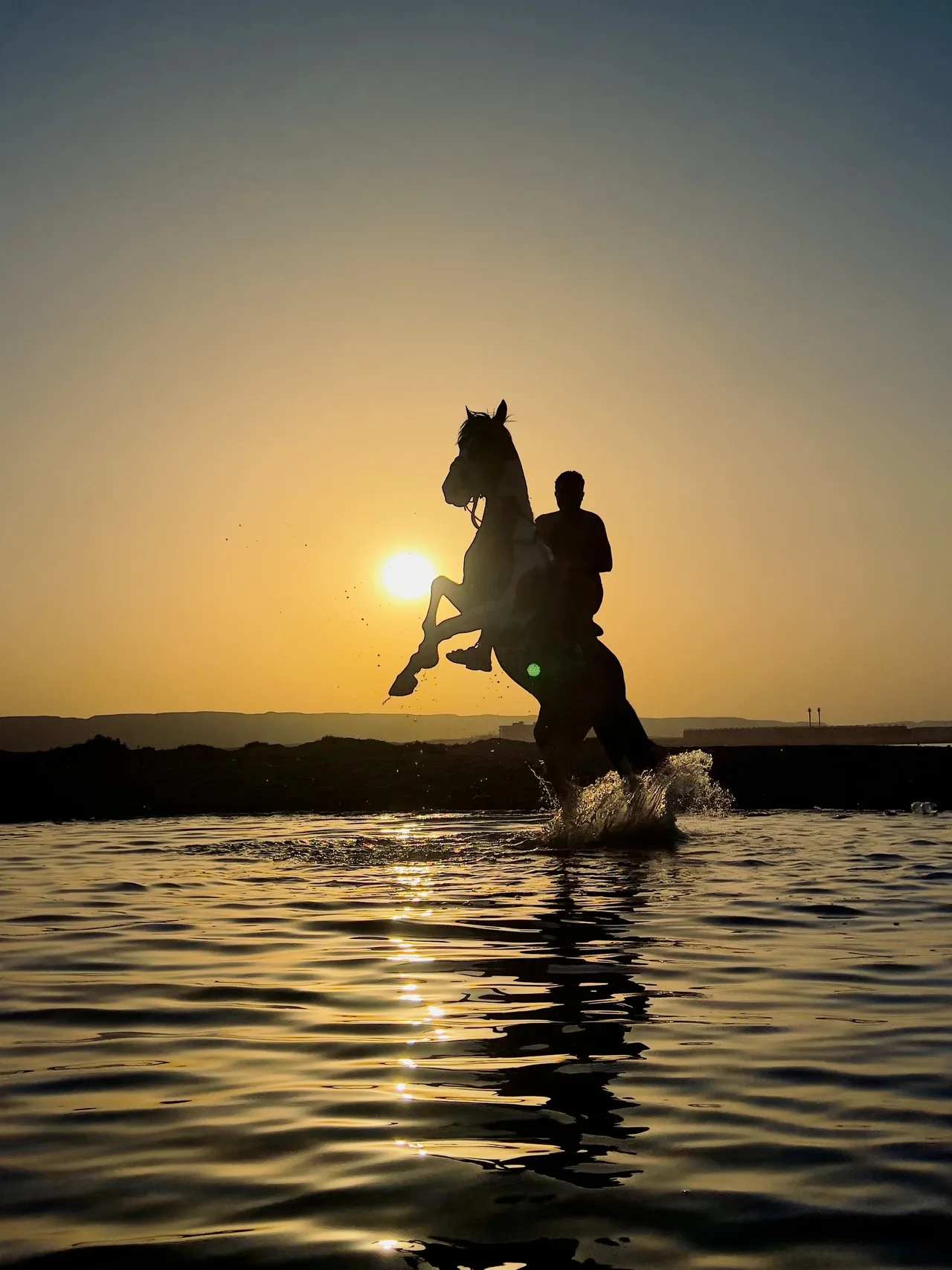 ركوب الخيل 